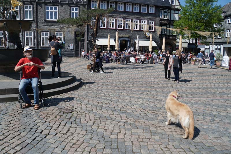 19-05-01_Gos_009_LeS_04404