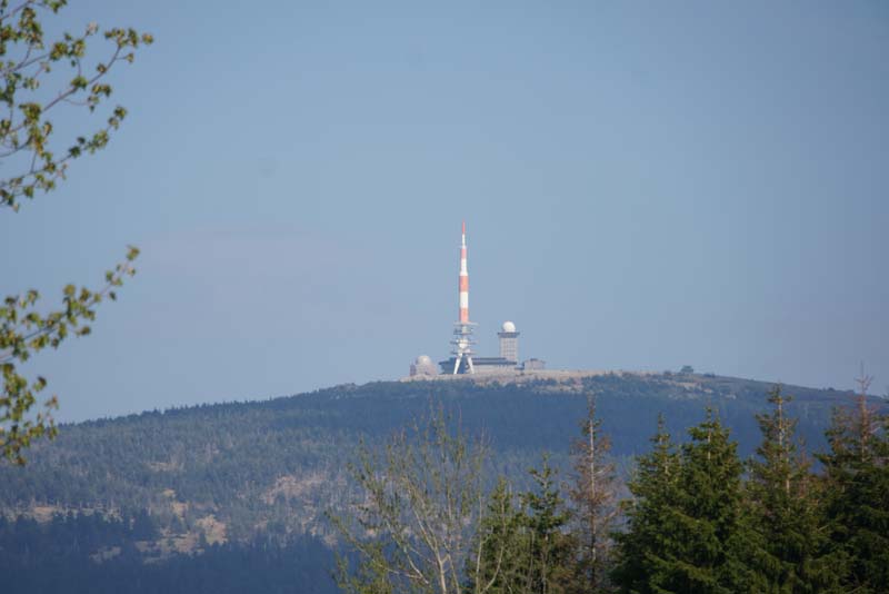 19-05-01_Gos_056_LeS_04454