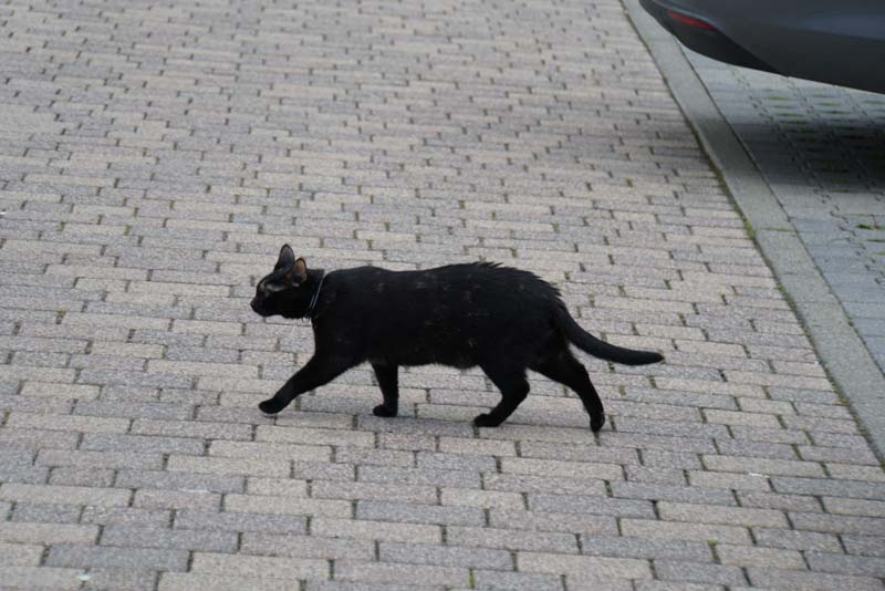 19-05-03_ASL_OSL_046_LeS_04525