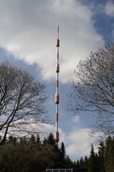 19-05-01_Gos_054_LeS_04452-b